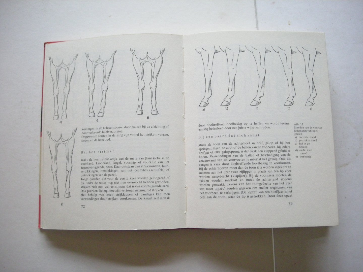 Muller, Dr.Egon / Stad, R.Th.van de, vert. uit het Duits, i.s.m. Offereins, E. - Het zieke rijpaard. Wat paardevrienden moeten weten