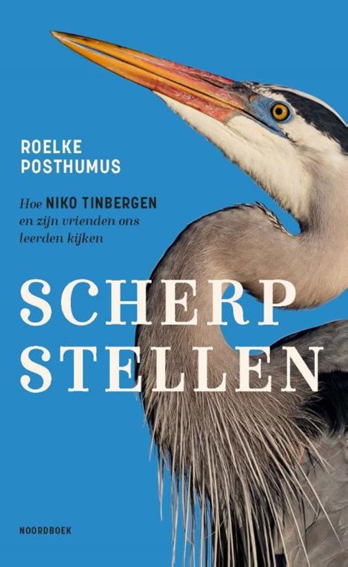 Roelke Posthumus - Scherpstellen