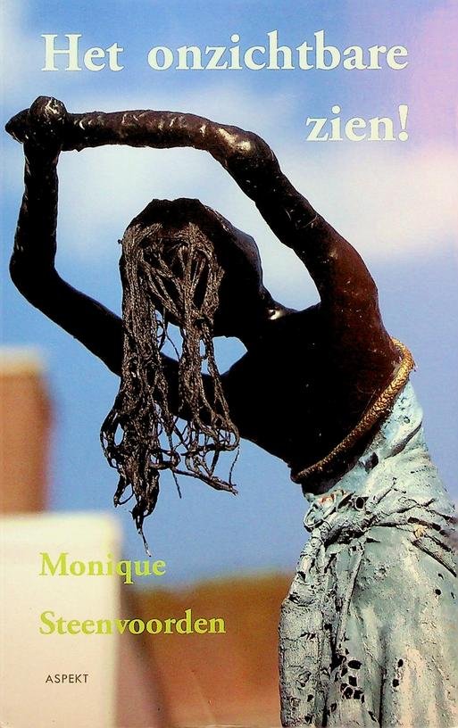 Steenvoorden, Monique - Het onzichtbare zien!