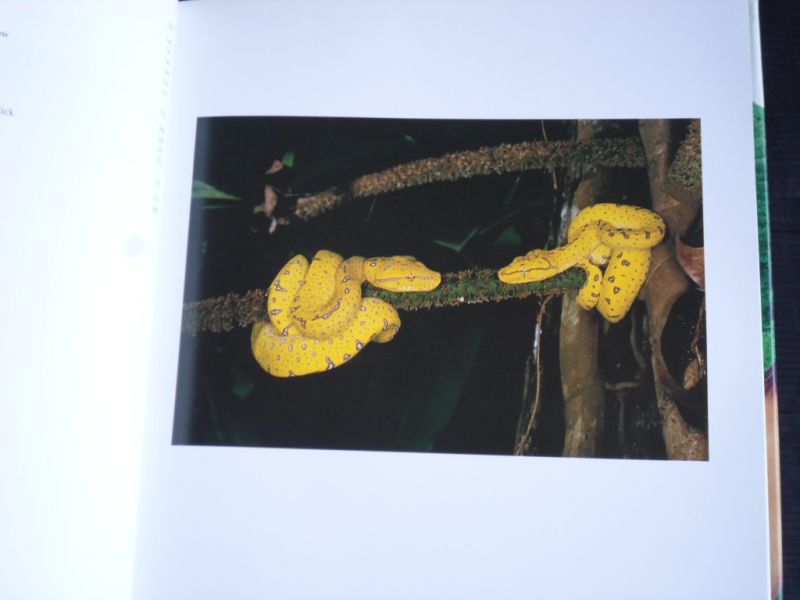 Sharp, Ilsa & Alain Compost - Green Indonesia, Tropical Forest Encounters