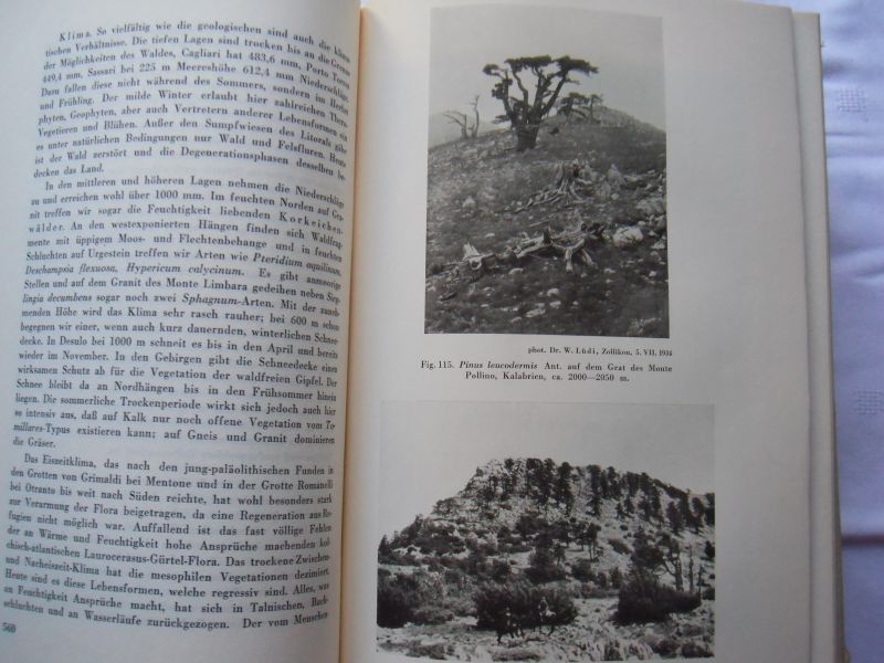 Rikli, Prof. Dr. M. - Das Pflanzenkleid der Mittelmeerländer deel 1, 2 en 3