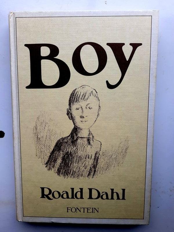 Roald Dahl - Boy: jeugdverhalen
