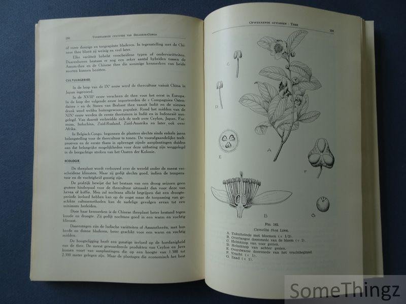 van den Abeele, Marcel en Vandenput, René. - De voornaamste cultures van Belgisch-Congo.