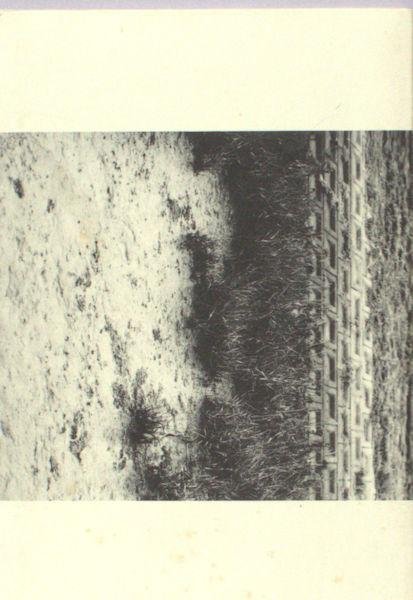 Westen, Jeroen. - (foto's).