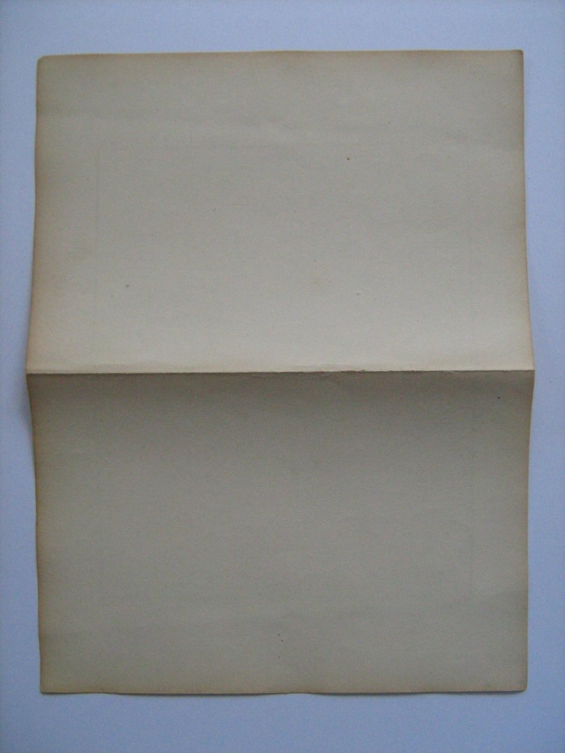  - Oudtijds grensgekleurde lithografie van Gemeente FLINSTERWOLD, Groningen 1867