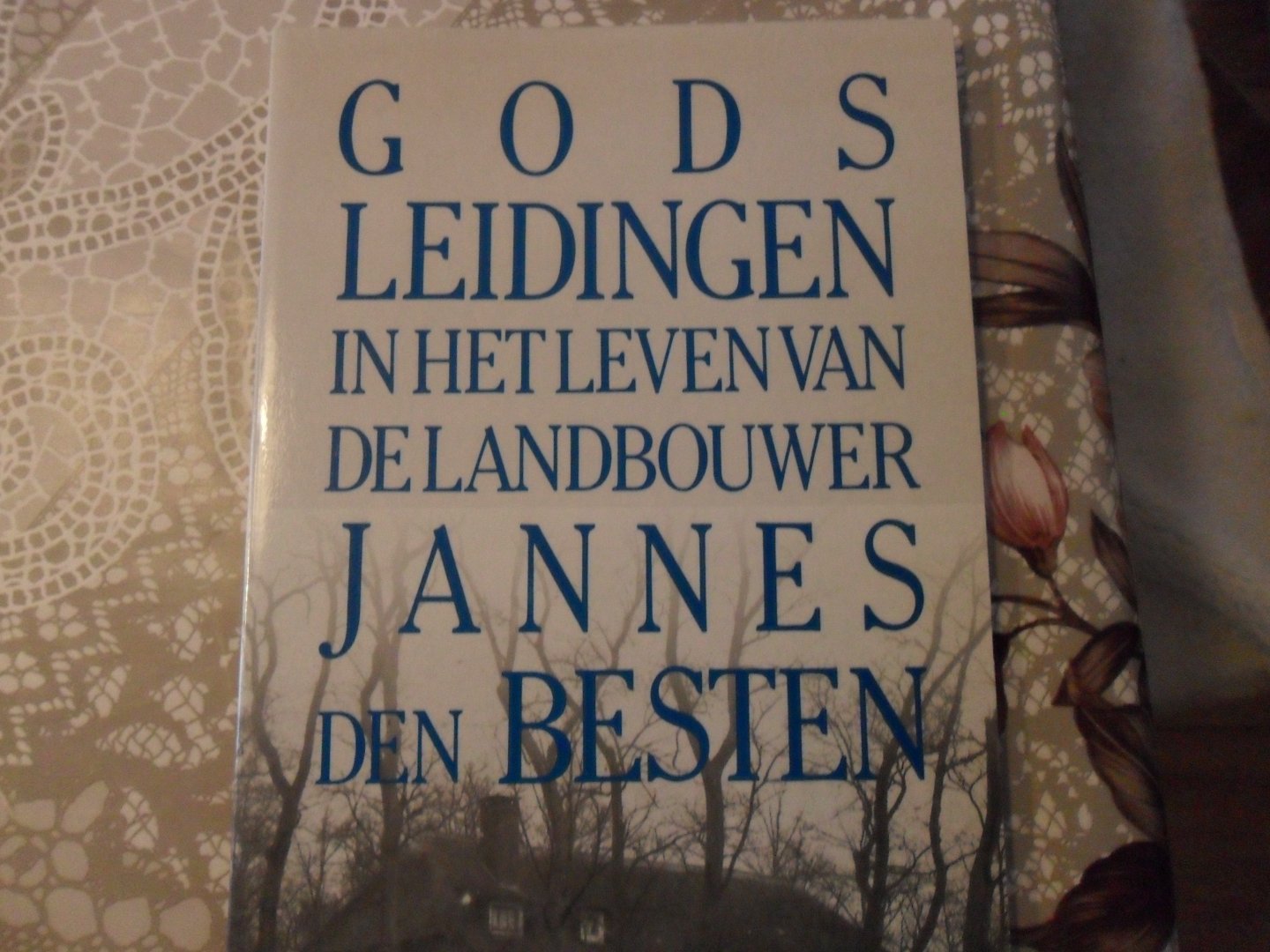 Besten Jannes den - Gods leidingen in het leven van de landbouwer Jannes den Beste