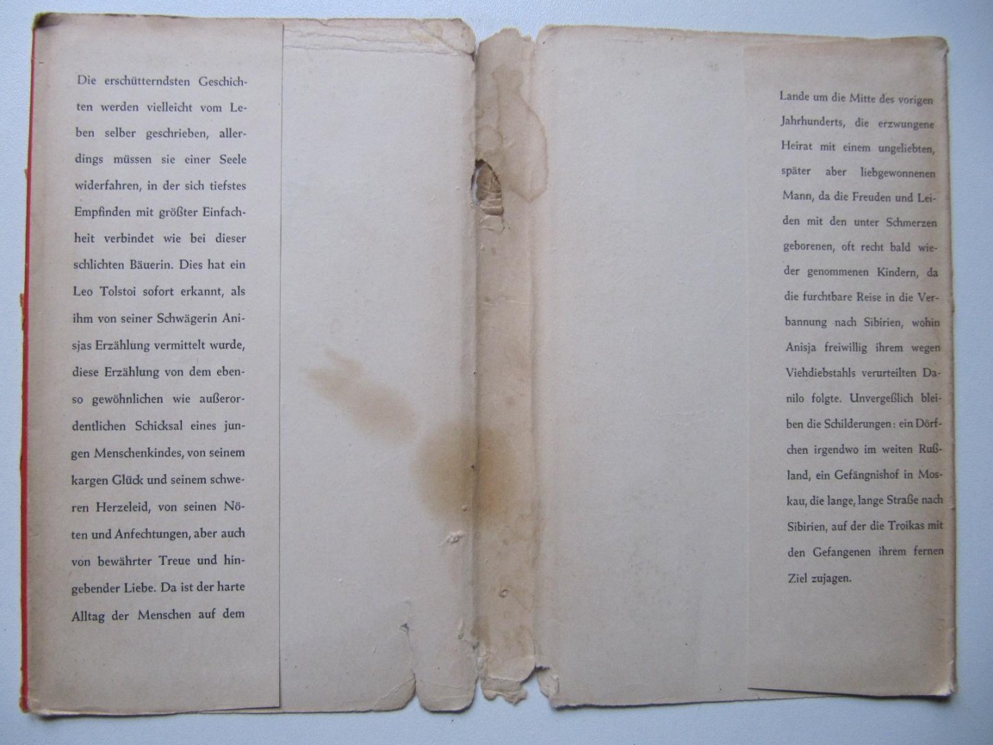 Tatjana Andrejewna Kusminskaja - Anisjas Schicksal