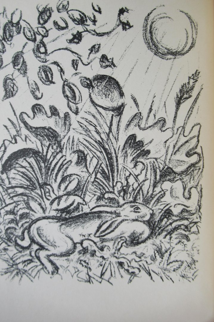 Jammes, Francis - Der Hasenroman