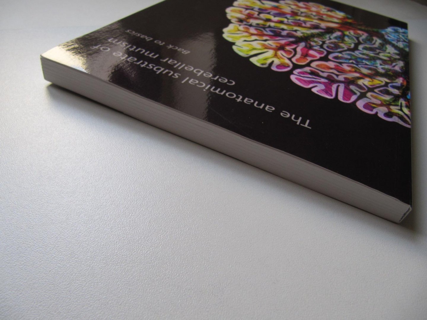 K.M. van Baarsen - The anatomical substrate of cerebellar mutism - Back to basics