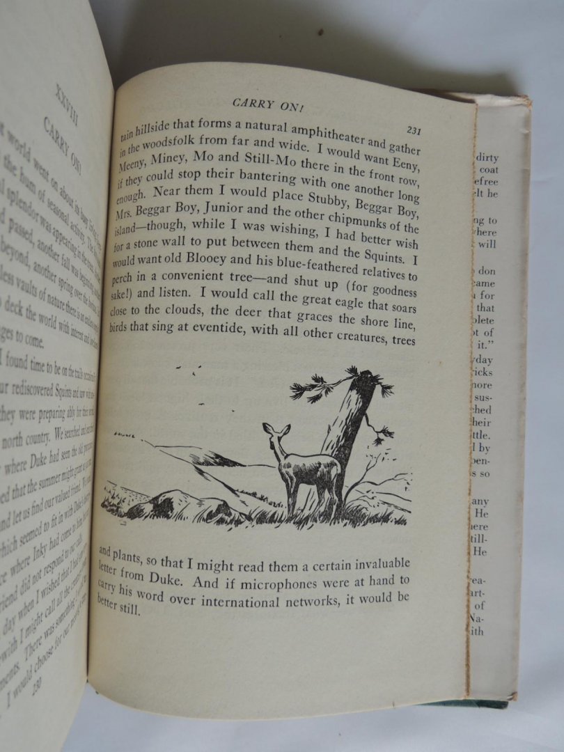 Sam Campbell - Eeny, Meeny, Miney, Mo-and Still-Mo : lessons in living from five frisky red squirrels