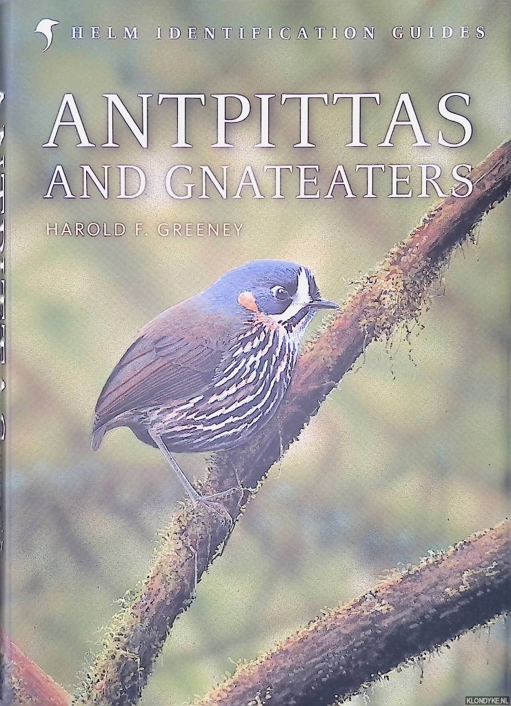 Greeney, Haold F. - Antpittas and Gnateaters