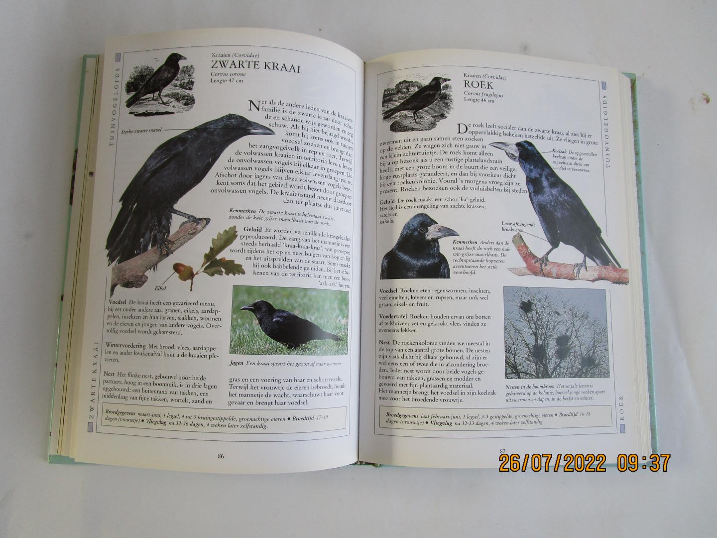 Burton, Robert - Vogels over de vloer  - Complete gids voor het observeren en voederen van vogels in de tuin -