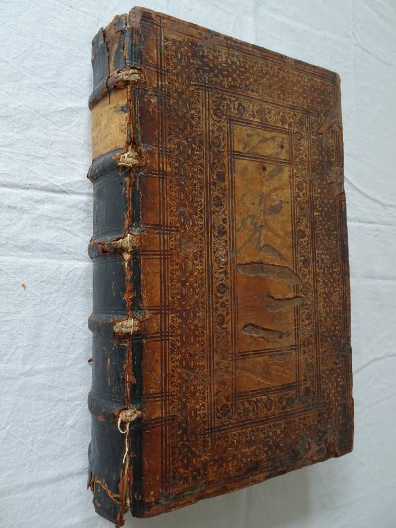 Lapide, Cornelio Cornelii a. - Commentaria in duodecim Prophetas Minores.