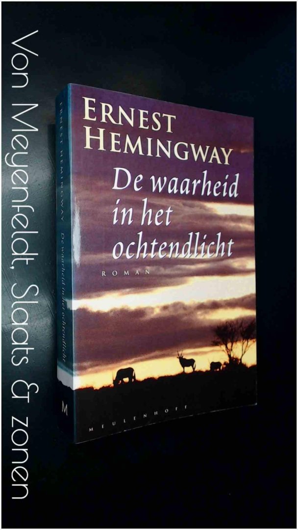 Hemingway, Ernest - De waarheid in het ochtendlicht