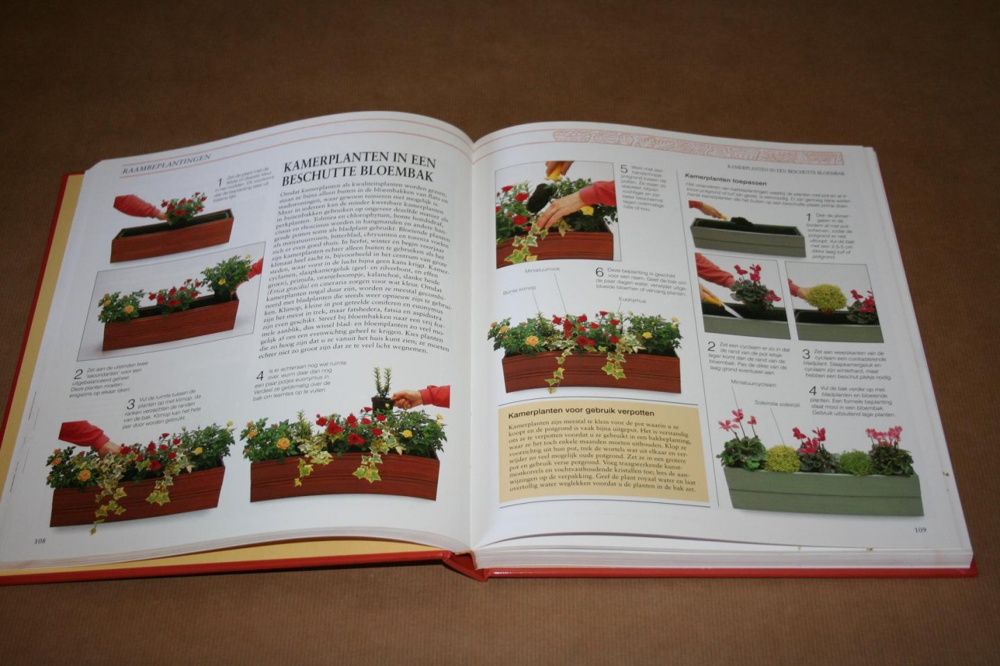 Sue Phillips - De Praktische Kuipplanten-Encyclopedie  --- Creatief tuinieren in potten, kuipen, bakken en manden