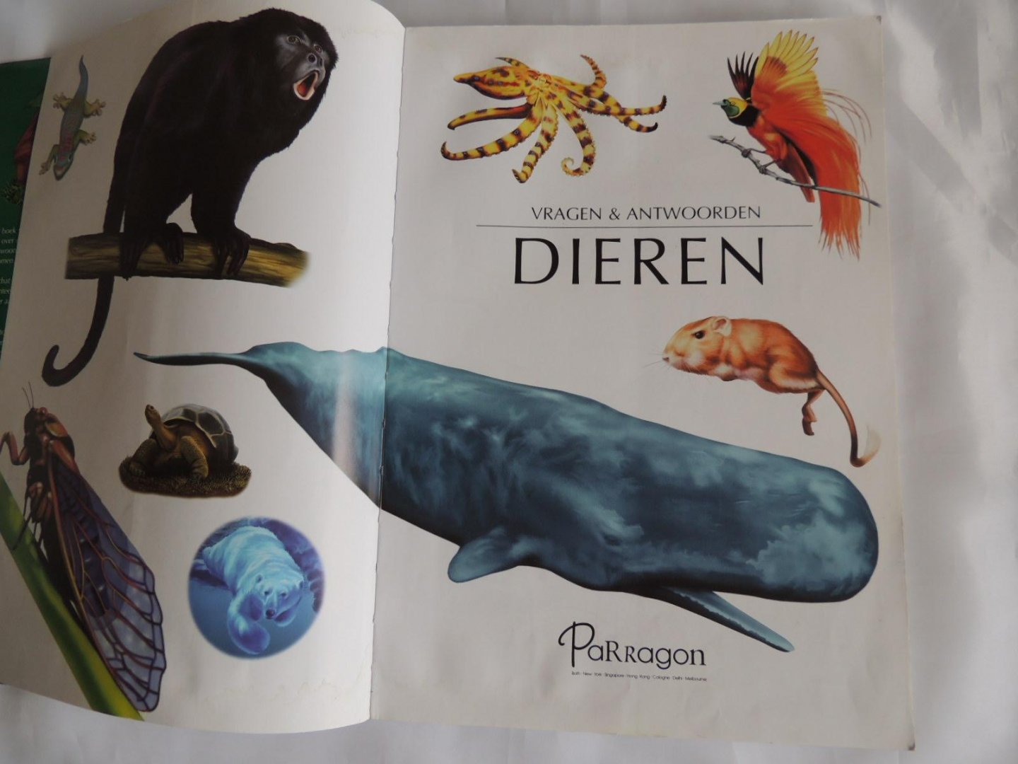 John Farndon; David Ashby - Dieren vragen & en antwoorden