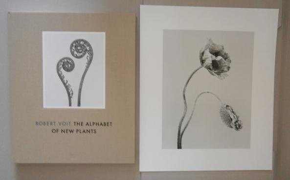 VOIT, Robert - Robert Voit - The Alphabet of New Plants + Print 13/25 signed. - [New].
