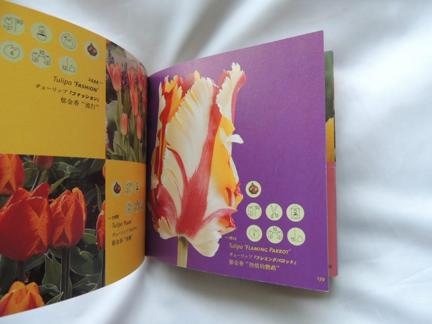 International Flowerbulb Centre (Hillegom) - 500+ // 500 pictures of flower bulbs  500 afbeeldingen van bloembollen