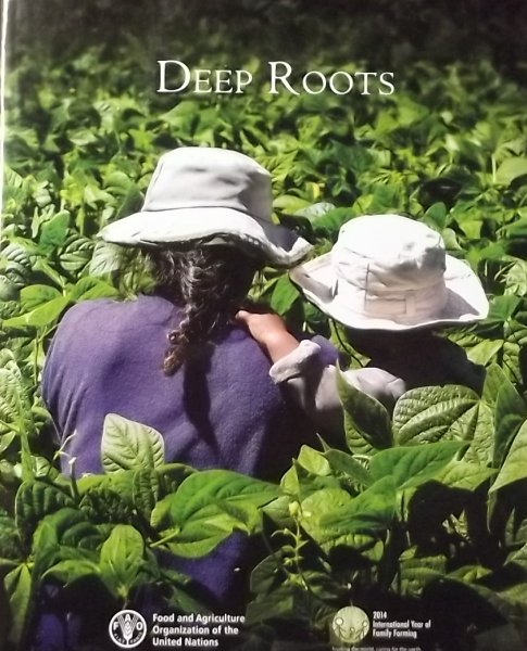 Griffiths, Jacqui. (red.) - Deep Roots