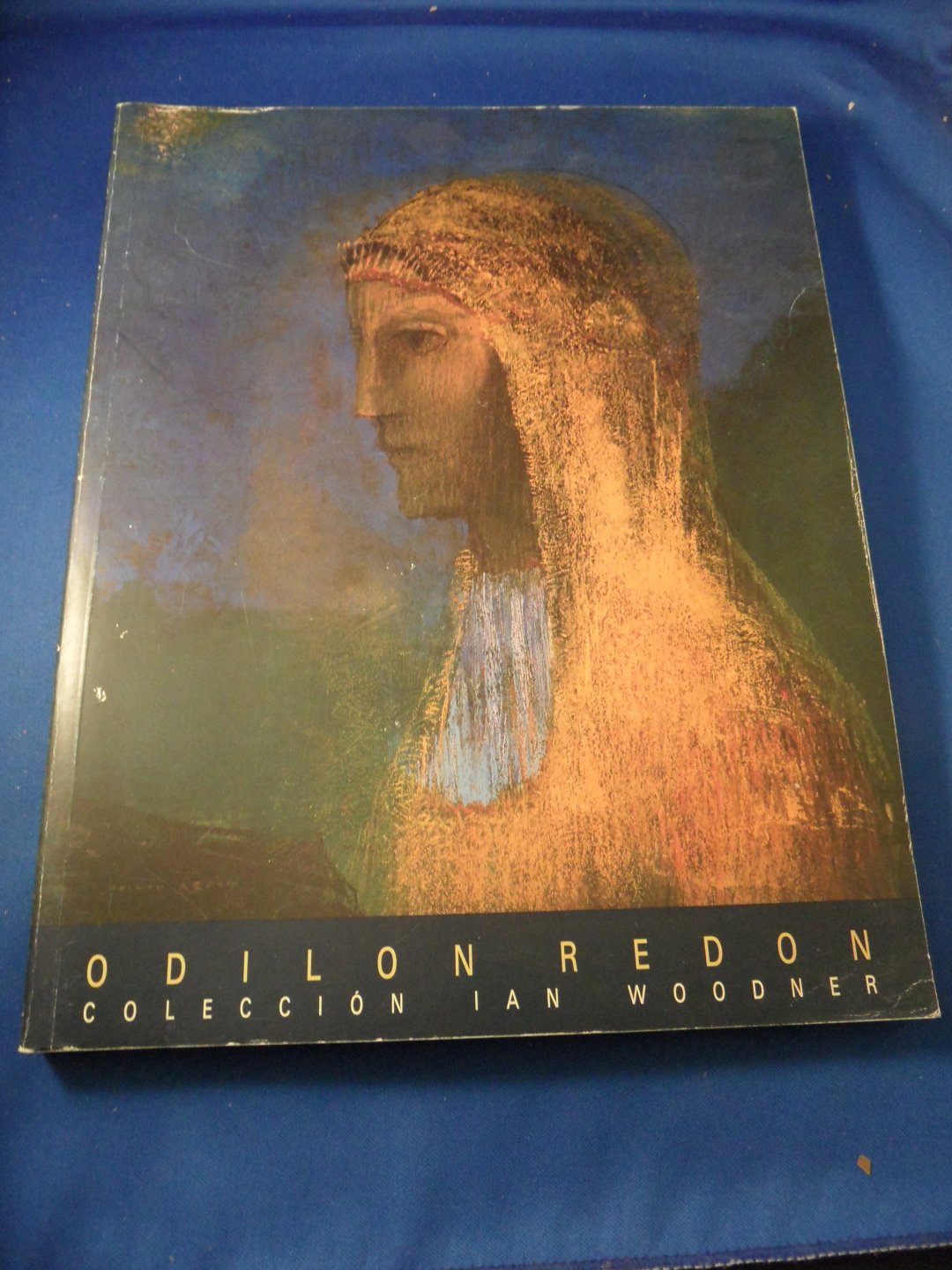 Redon, Odilon - Odilon Redon coleccion Ian Woodner