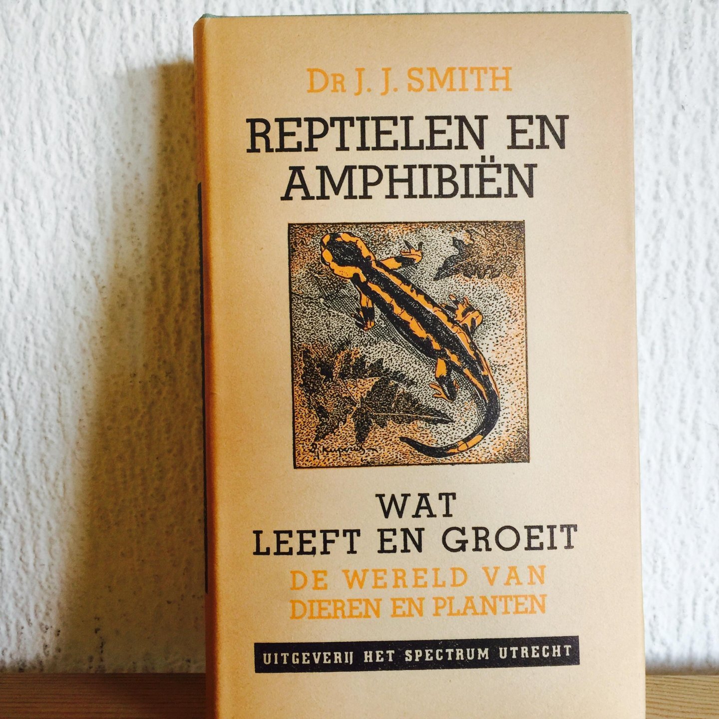 Smith, J.J. - Reptielen  en amphibiën.