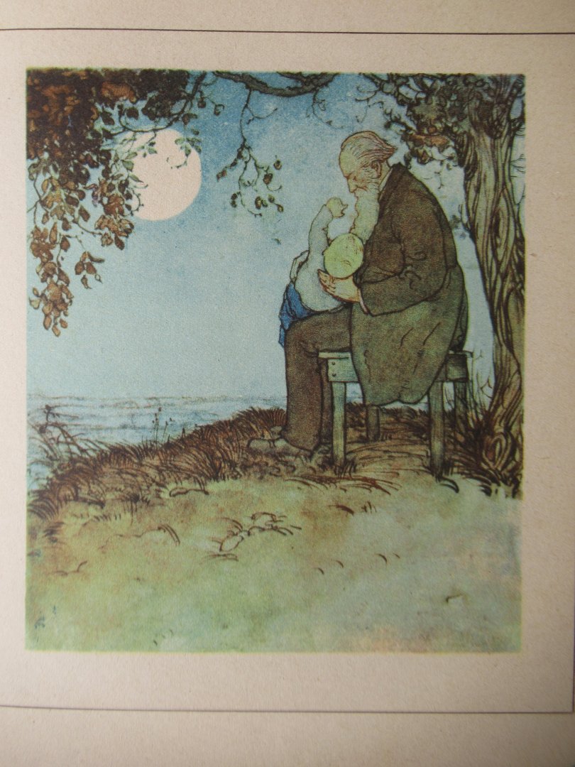 Storm, Th. - De kleine wildebras