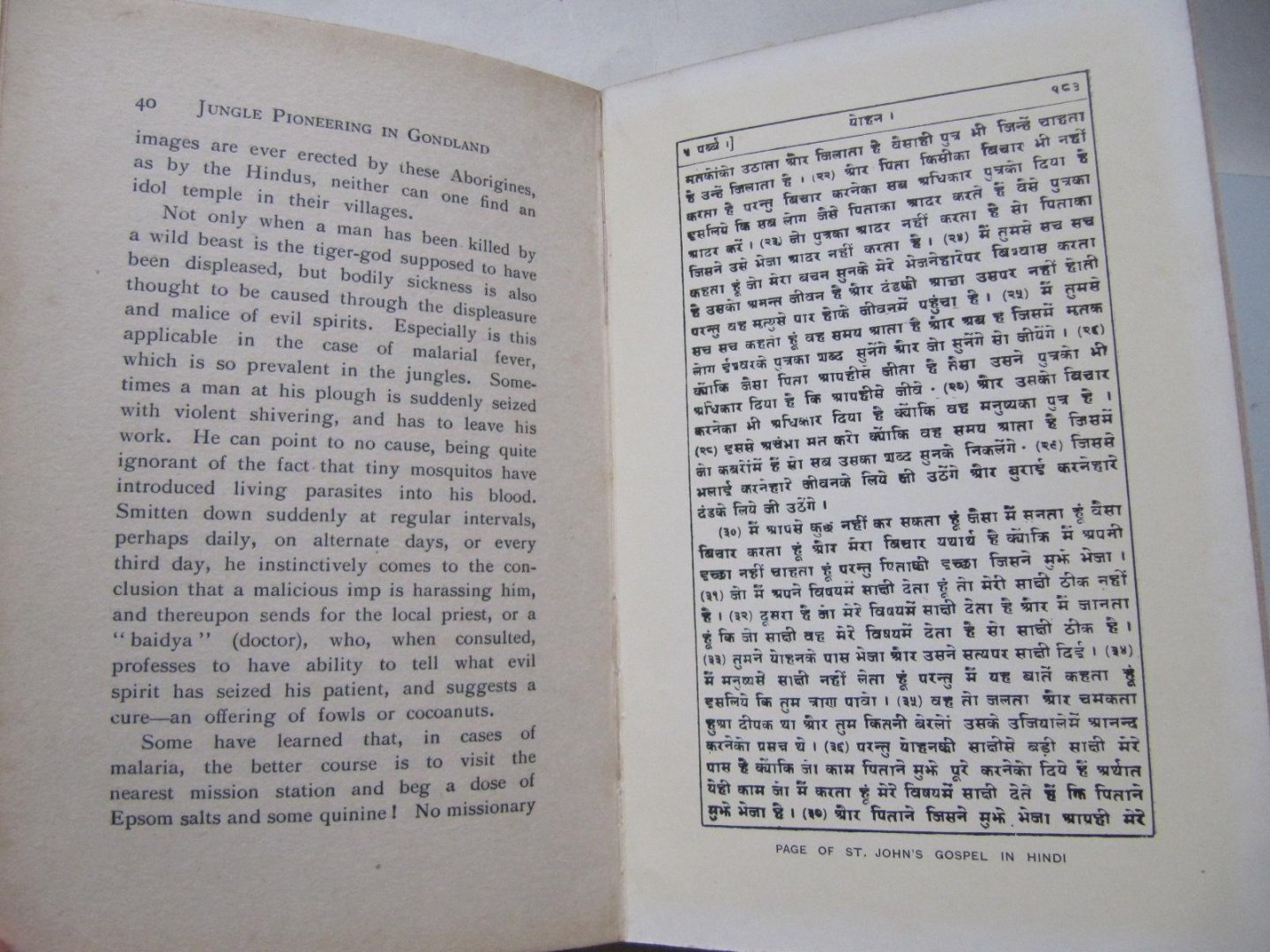 A.W. Mc Millan - Jungle Pionering in Gondland