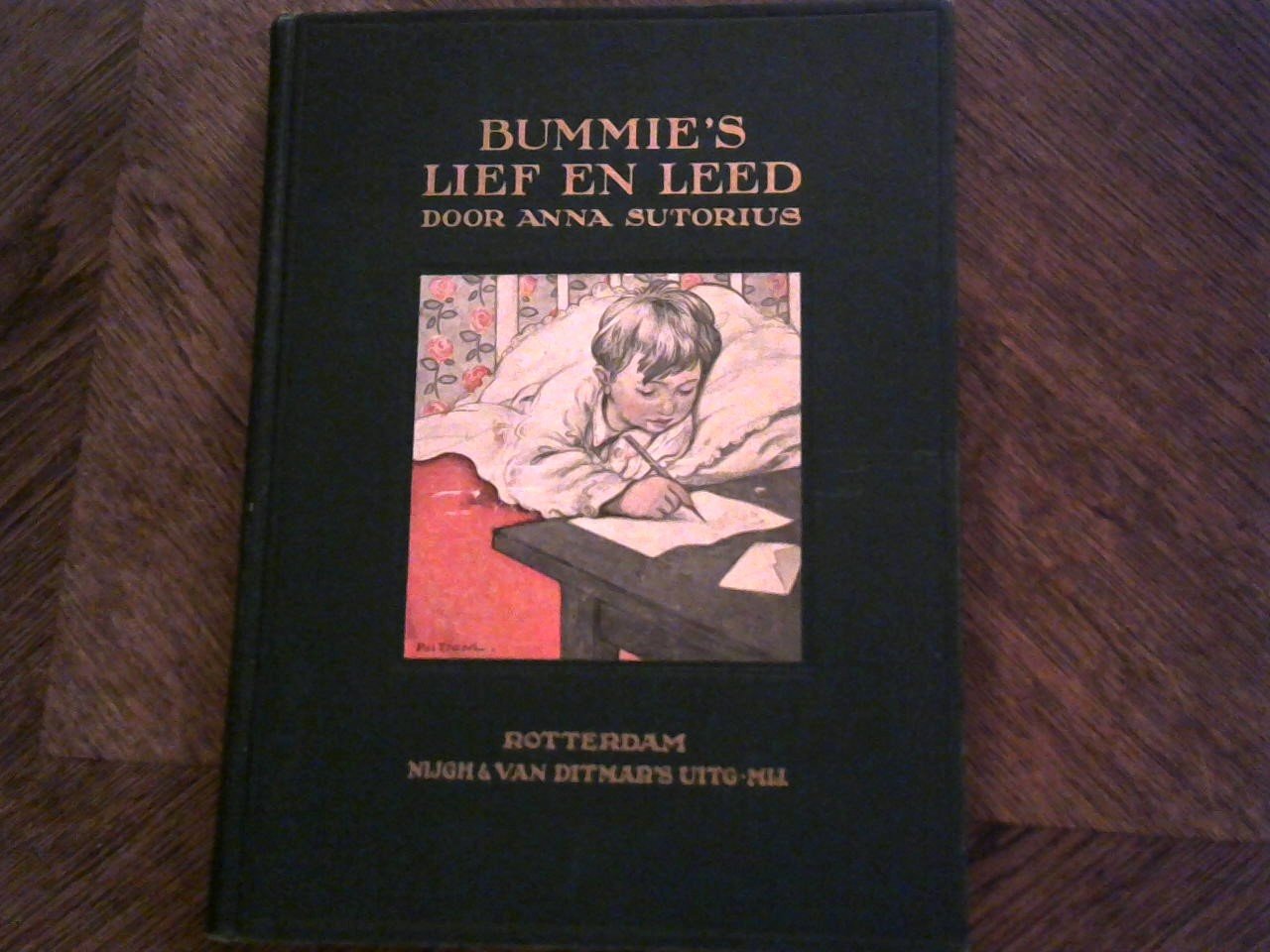 Sutorius Anna - Bummie's lief en leed (8-10jaar)