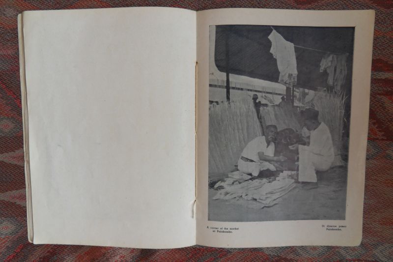 Dorp, G.C.T. van (uitgever/produktie). - Roepa-Roepa Gambar dari Djawa-Bali dan Soematra. vrije vertaling: Tekening van het leven van Java-Bali en Sumatra.