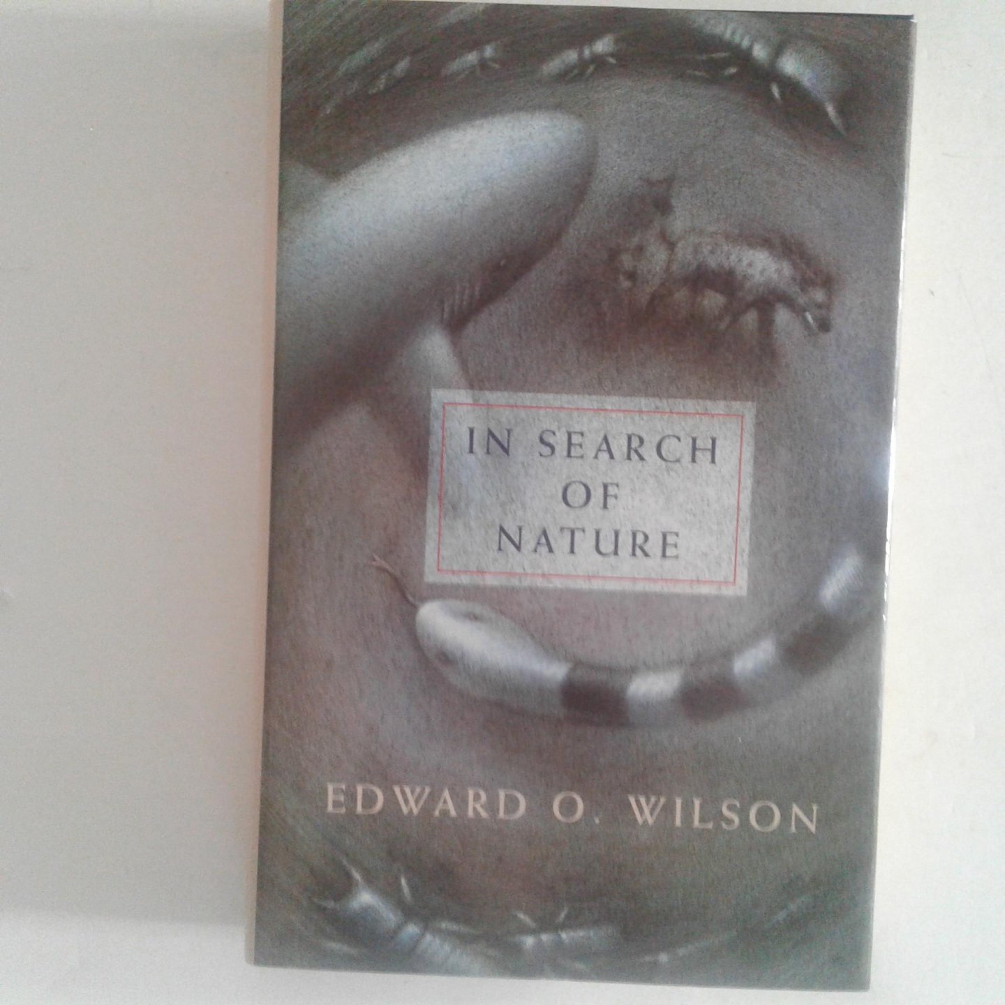Wilson, Edward O. - In Search of the Nature
