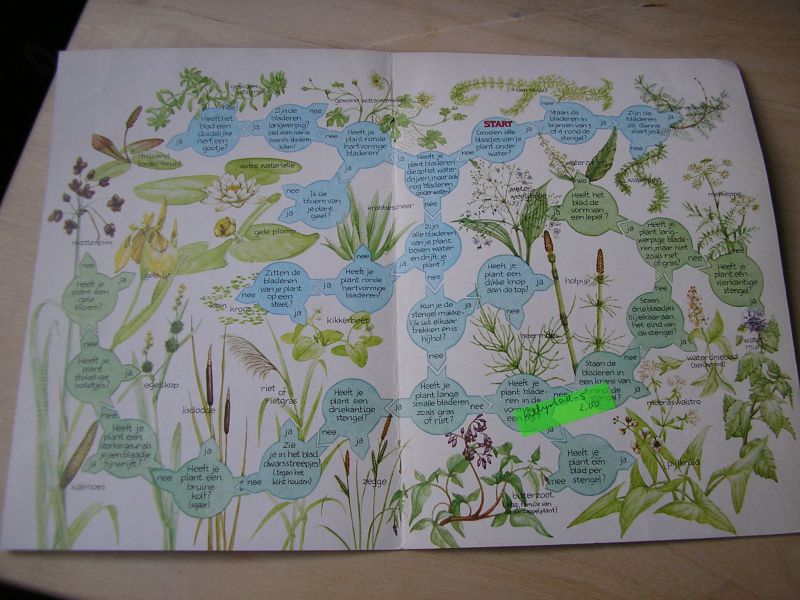 Hogeweg, Martin (tekenaar) in opdracht van Jippo - Zoekkaart om de namen van planten in en bij het water mee op te zoeken (dubbelgevouwen kaart)