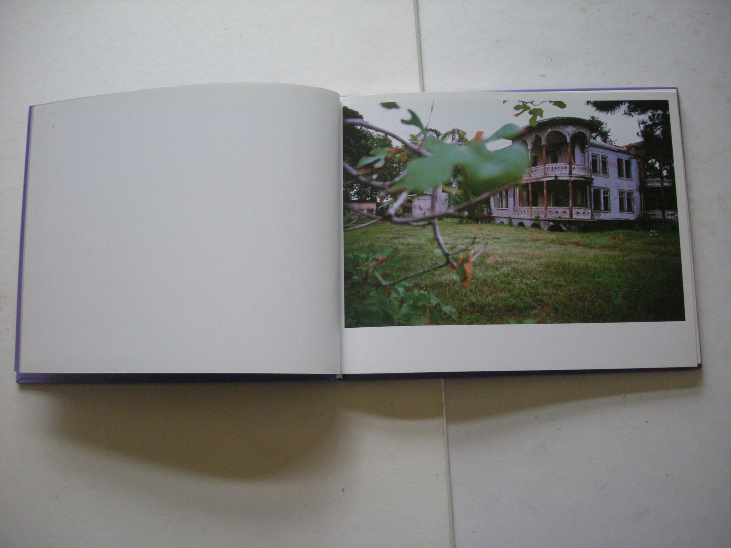 Wiechowska,  Monika - Somnambule (exhibition photos of exteriors and interiors of houses)