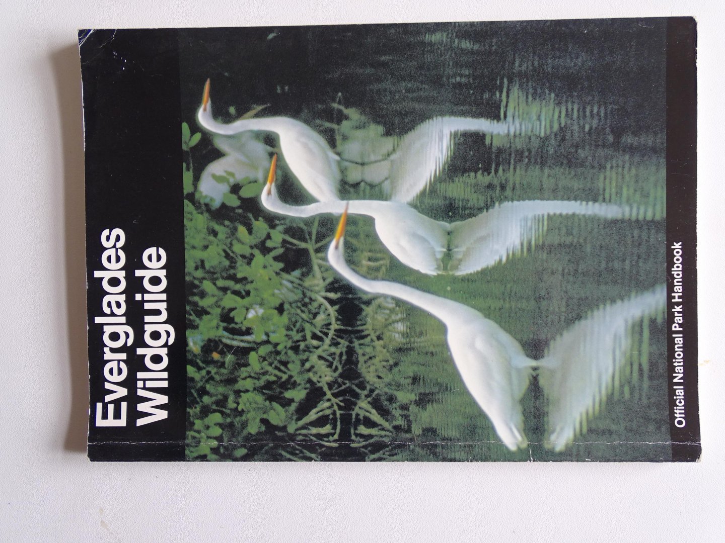 Craighead George, J. - Everglades Wildguide