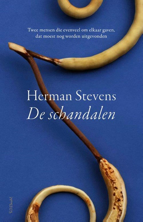 Herman Stevens - De schandalen