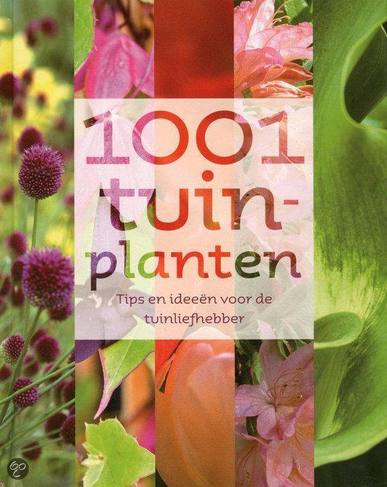 Rugullis - 1001 tuinplanten