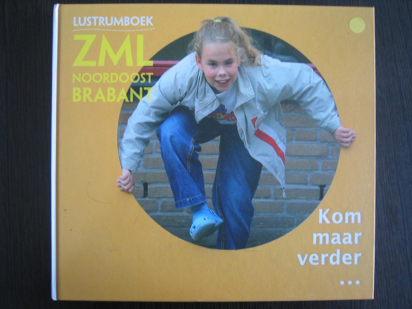 Ernst Bergboer - Lustrumboek ZML Noordoost Brabant - Kom maar verder....