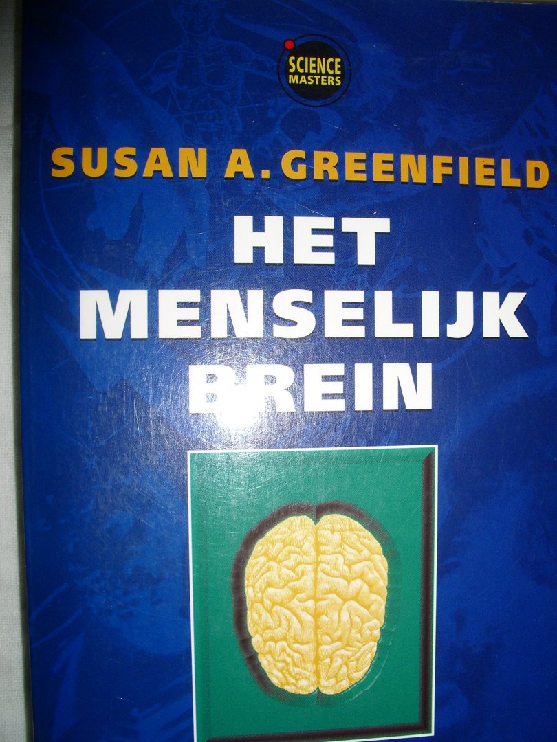 Greenfield, Susan A. - Het menselijk brein