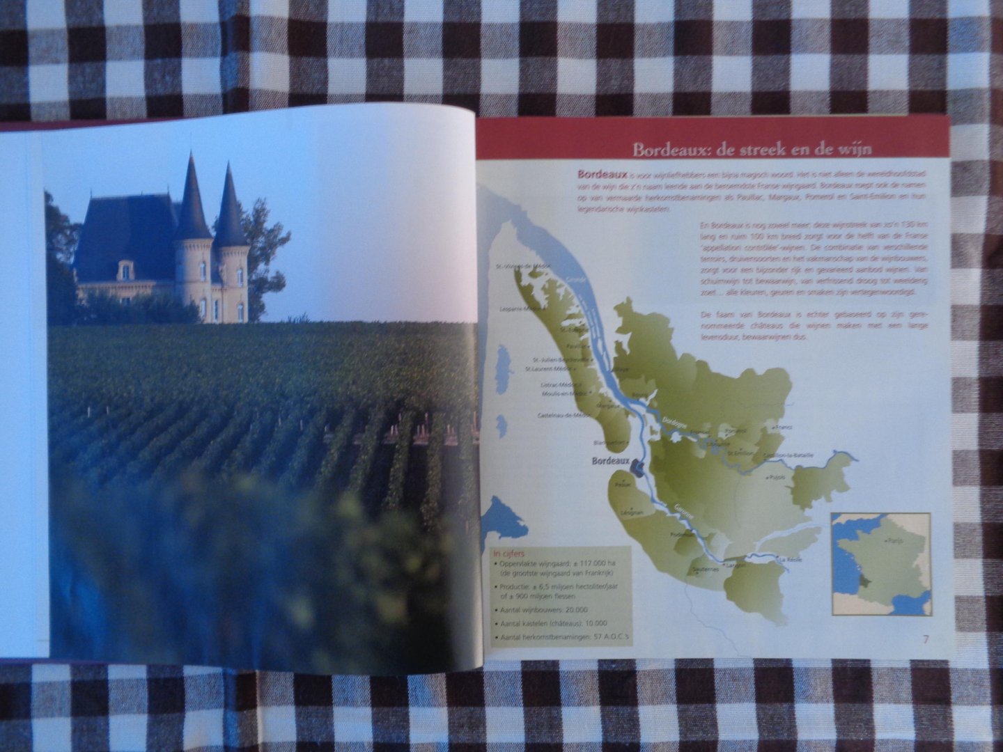 luc rogge - bordeaux