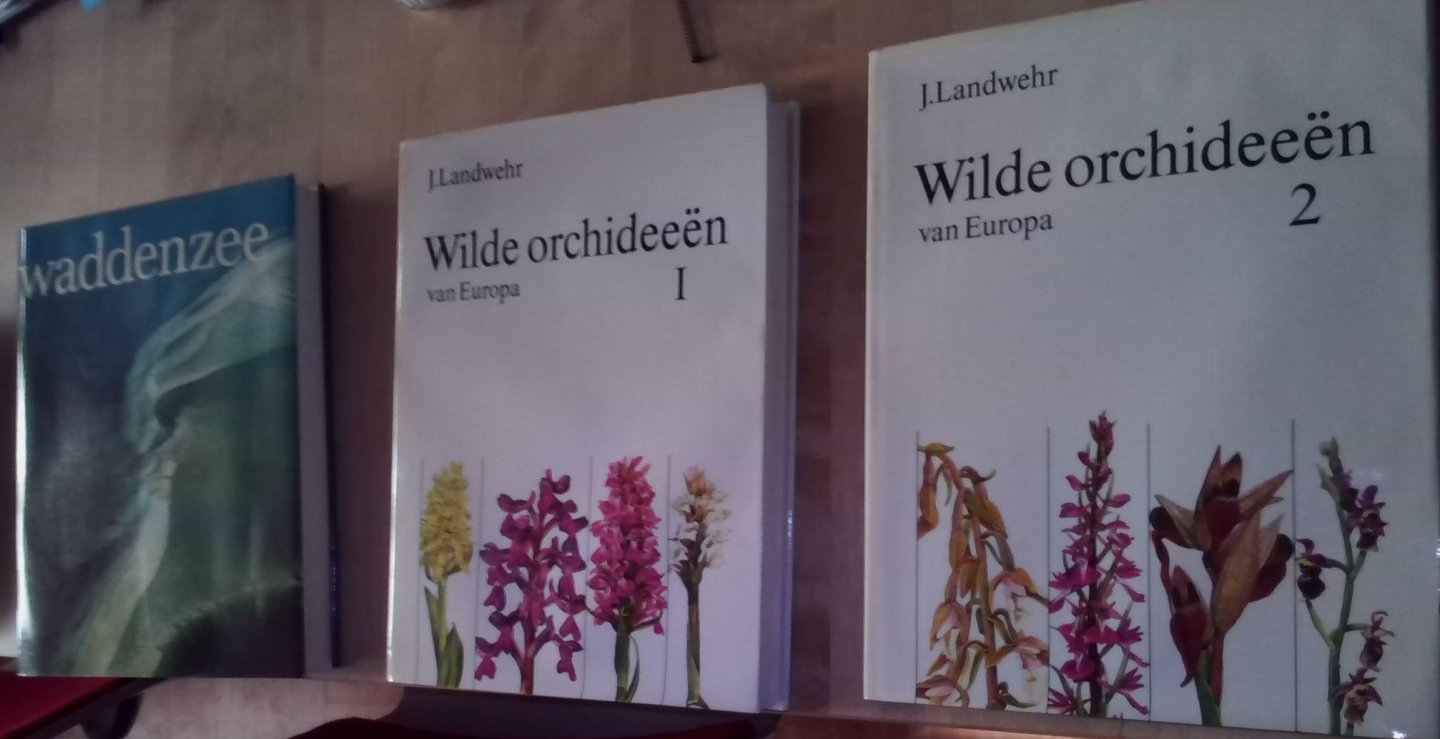 Landwehr - Wilde orchideeen van europa / 1 / druk 11 Wilde orchideeen van europa