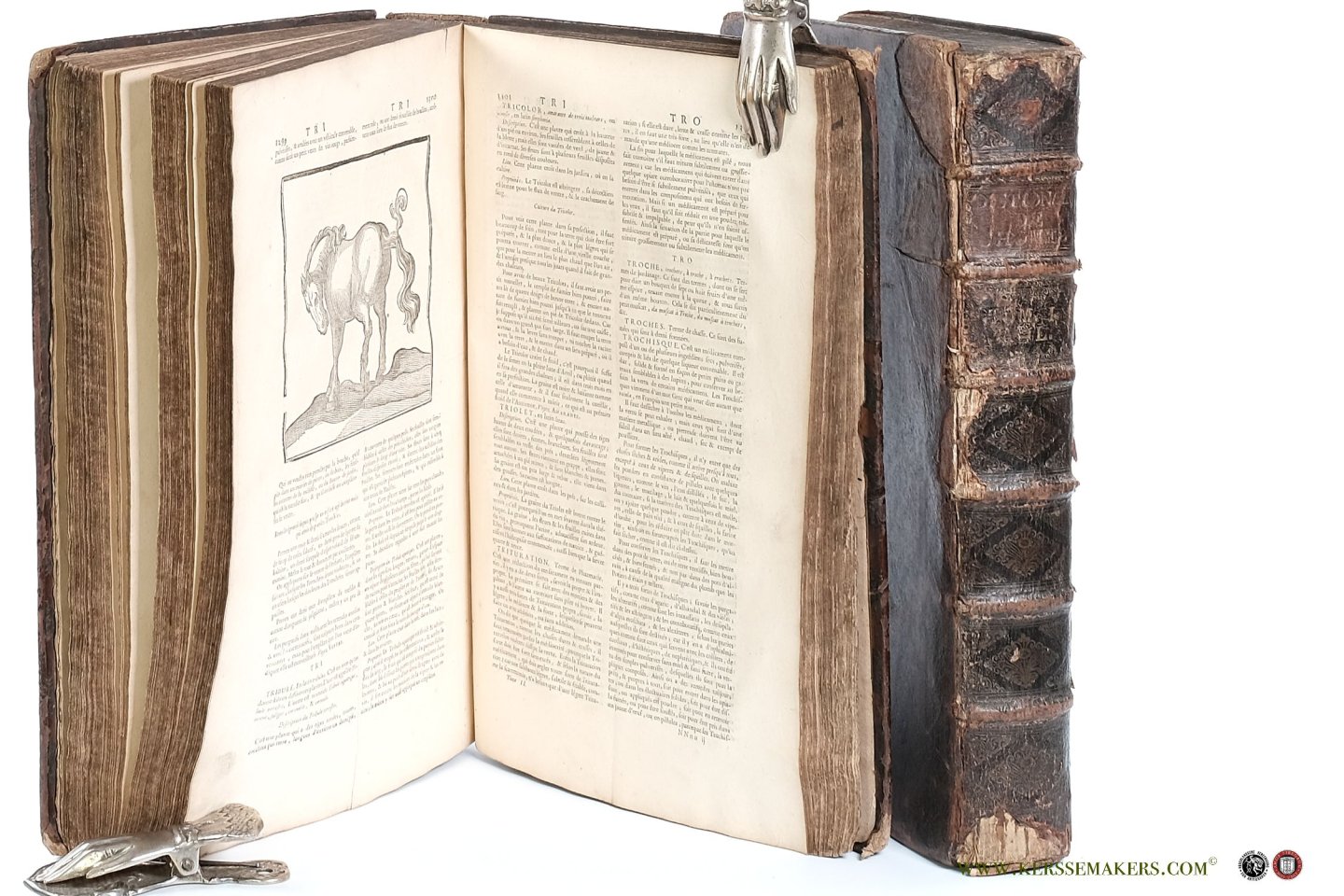 Chomel, Noel. - Dictionnaire oeconomique, contenant divers moyens d'augmenter son bien, et de conserver sa santé. [ 2 volumes ].