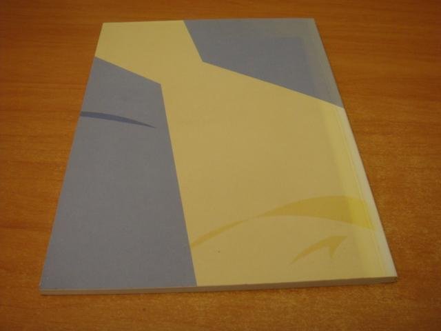 divers - Grotestedenbeleid, voortzetten en verbouwen - Advies over grotestedenbeleid Advies nr 30