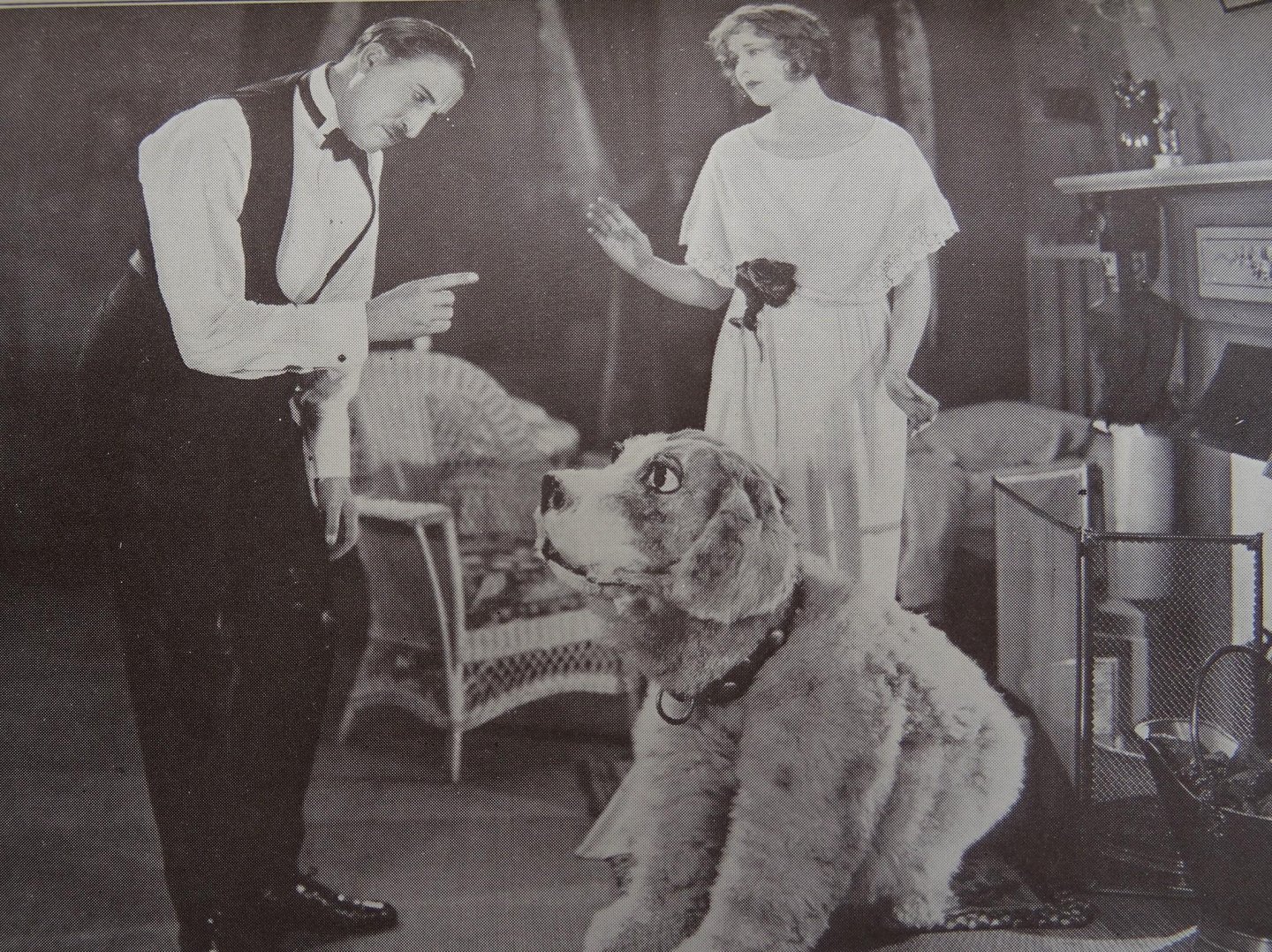 Barrie, James,M. - Peter Pan, the story of Peter and Wendy