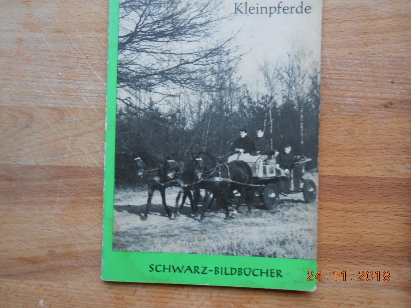 Heinz Heupel - Kleinpferde