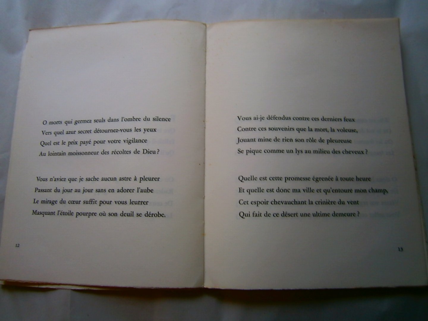 Radzitzky, Carlos de - Desert secret