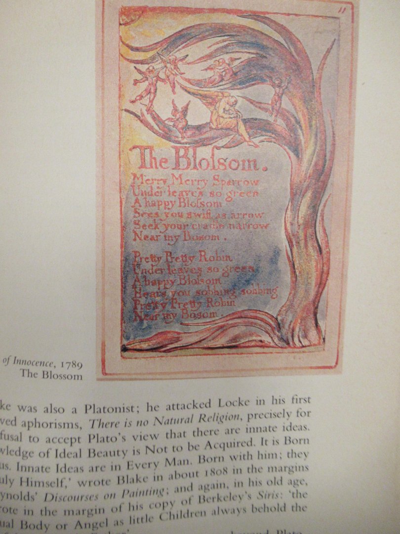 Raine, Kathleen - William Blake. 156 plates 28 in colour