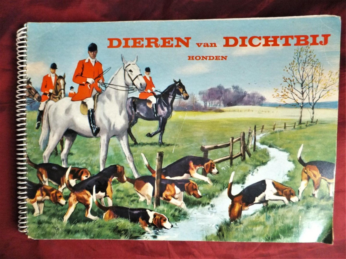 Hoeven, Jan van den - Dieren van dichtbij honden