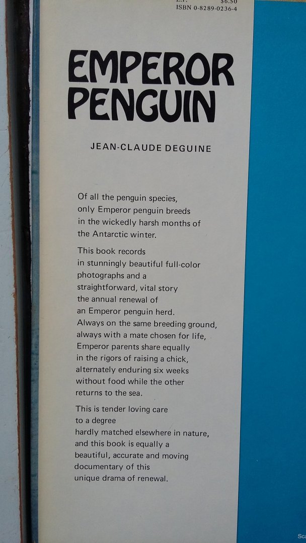 Deguine, Jean-Claude - Emperor Penguin