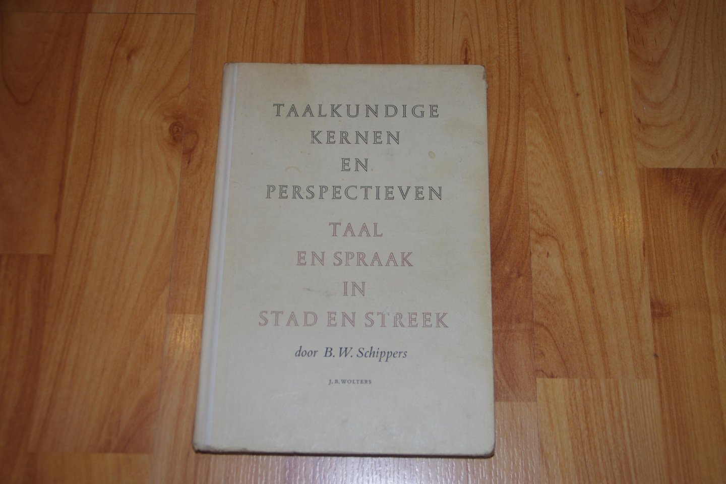 B.Schippers - Welkome en ongewenste "vreemdelingen".