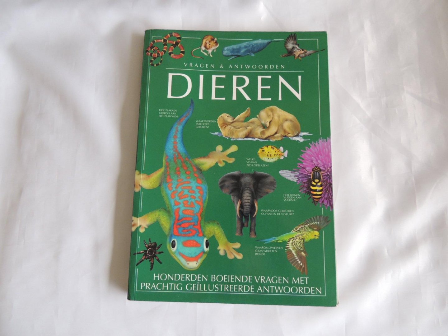 John Farndon; David Ashby - Dieren vragen & en antwoorden