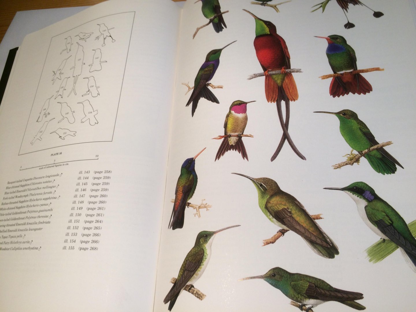 Haverschmidt, F & G Mees - Birds of Suriname